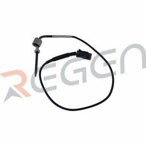 RS6002