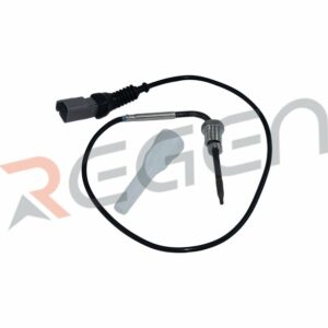 RS6007